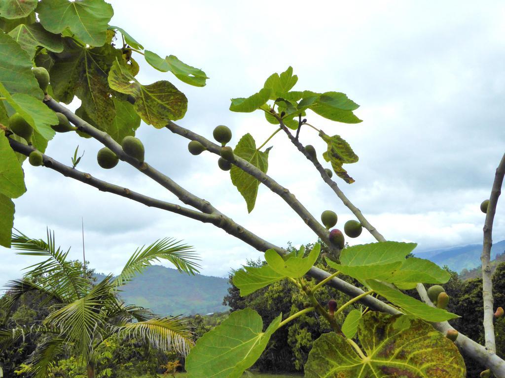Finca El Cielo San Agustín Esterno foto
