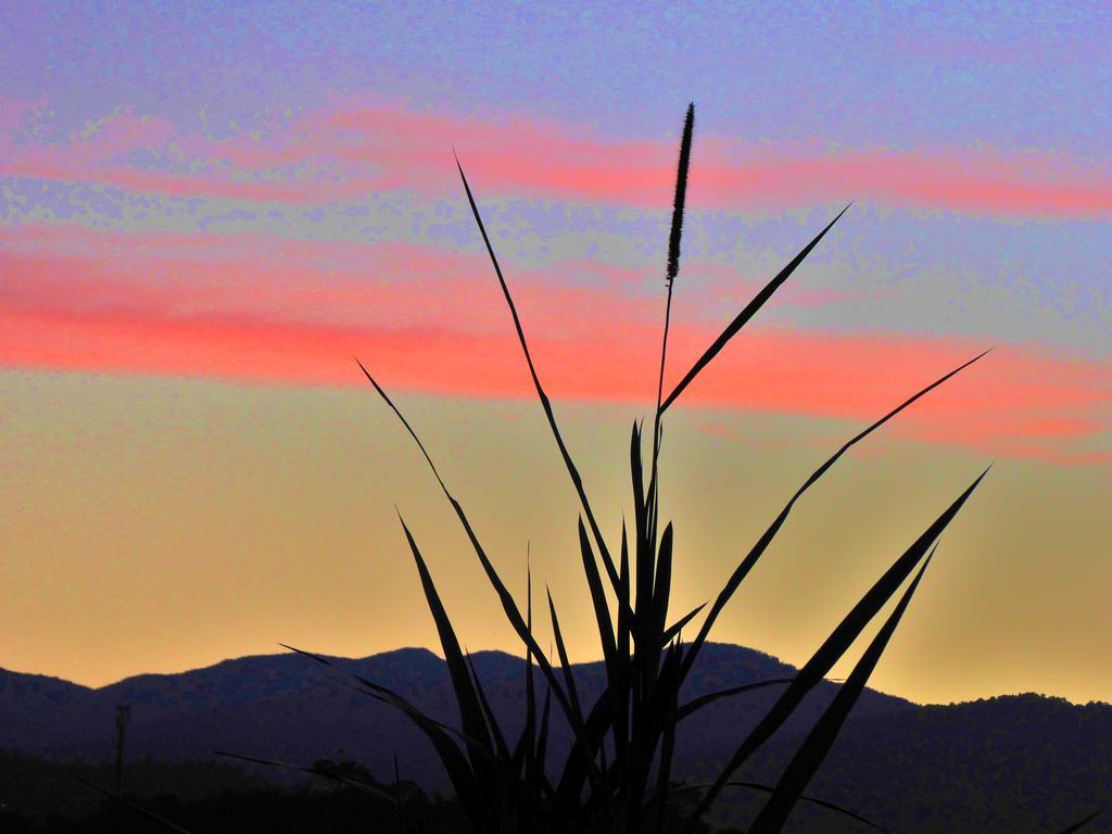 Finca El Cielo San Agustín Esterno foto